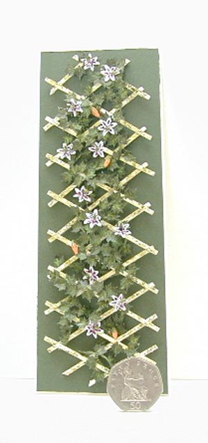 Passion Flower Trellis